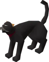 PullToWin's avatar: Bob (cat)