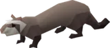 CoinsShirley's avatar: Ferret (Hunter)